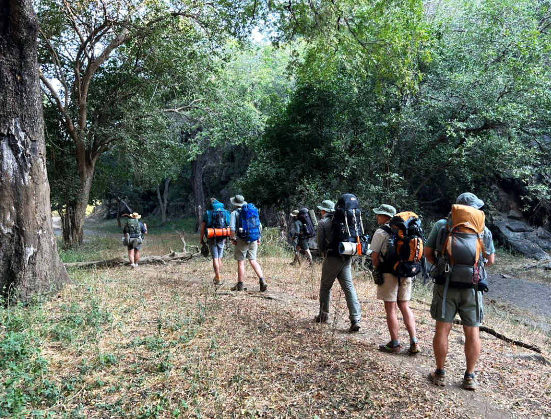 WOA_Why We Walk