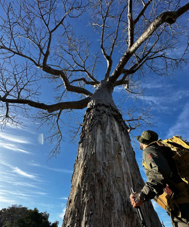 WOA_Baobab Camp