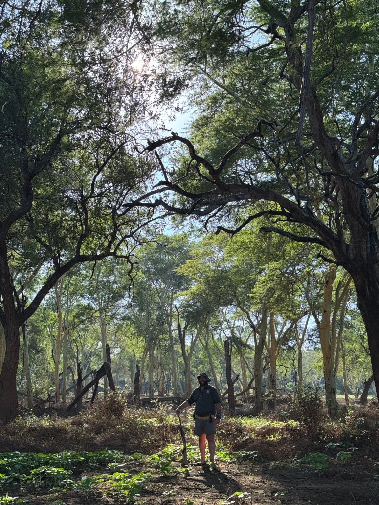 Primative trail 4